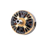 Axis flying Co-Marke Blackbird V3 2207 1975kv/2125kv 5 Zoll bürstenloser Sbang-Motor von höchster Qualität
